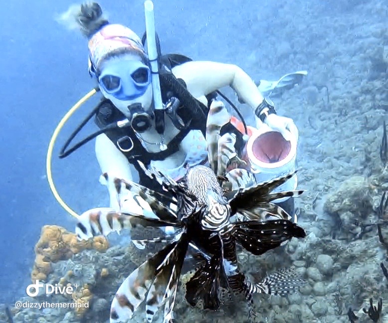 The Lionfish Mermaid